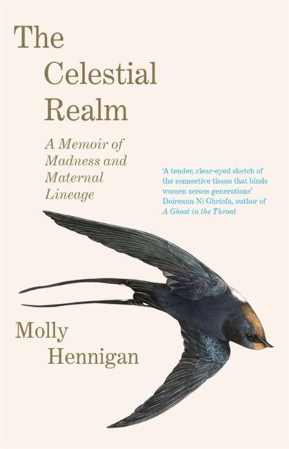 Book cover of: Celestial Realm: SHORTLISTED FOR THE SUNDAY INDEPENDENT NEWCOMER OF THE YEAR IRISH BOOK AWARDS. By: Molly Hennigan