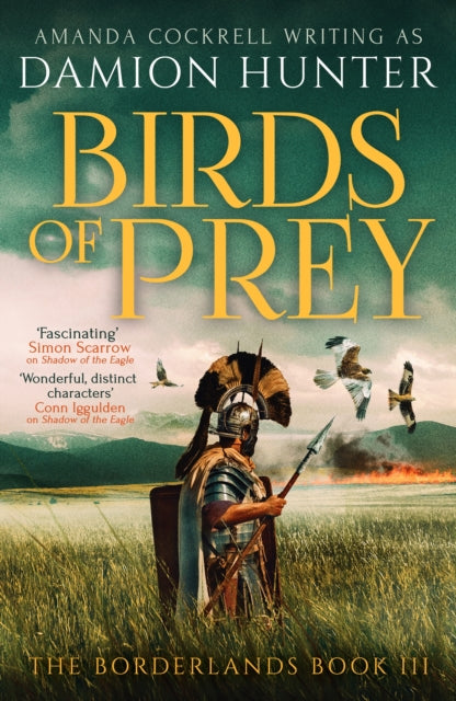Book cover of: Birds of Prey. By: Damion Hunter