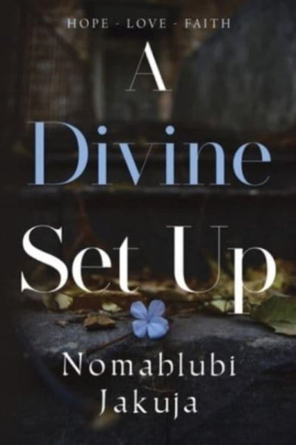 Book cover of: Divine Set Up