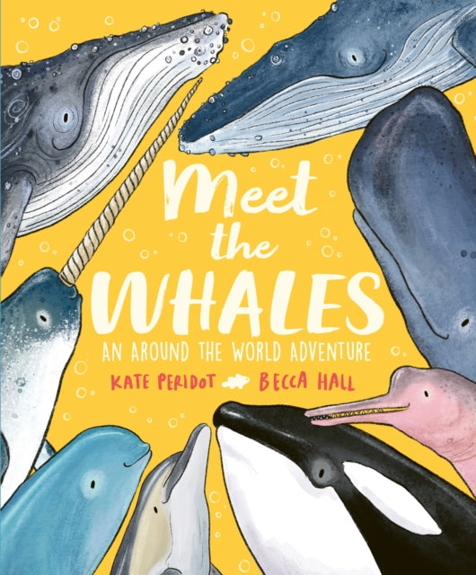 Book cover of: Meet the Whales. By: Kate Peridot