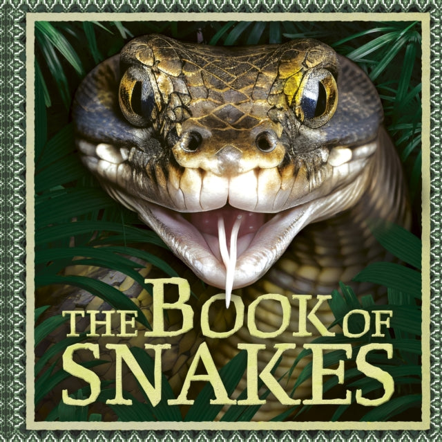 Book of Snakes 9781804538333 Welbeck Children's Books