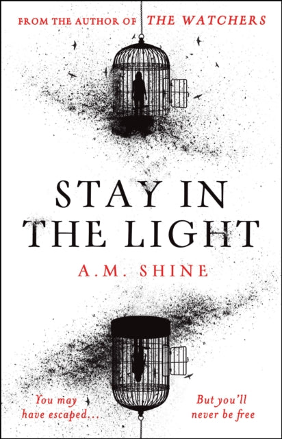 Book cover of: Stay in the Light. By: A. M. Shine