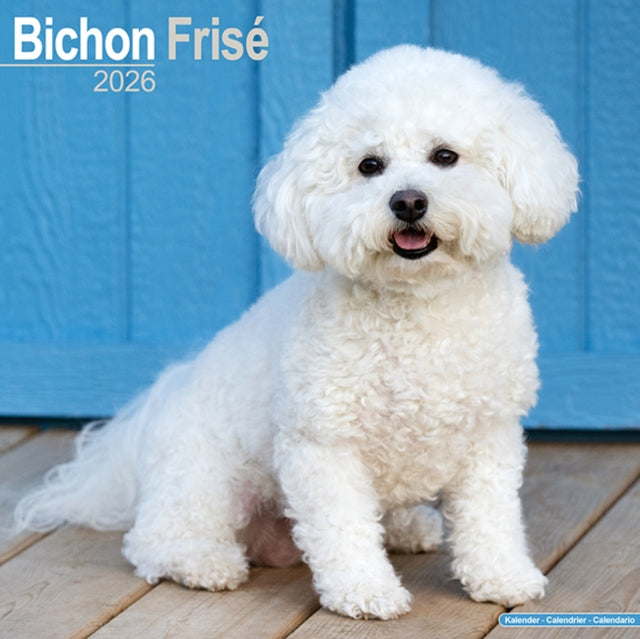 Book cover of: Bichon Frise Calendar 2026  Square Dog Breed Wall Calendar - 16 Month