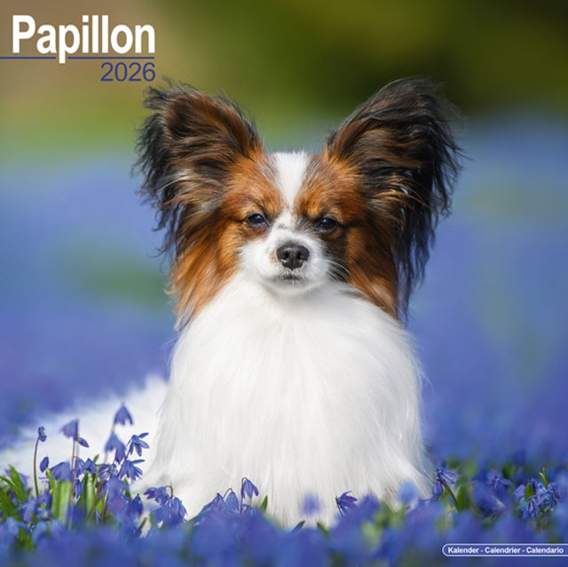 Book cover of: Papillon Calendar 2026  Square Dog Breed Wall Calendar - 16 Month