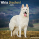 Book cover of: White Shepherd Calendar 2026  Square Dog Breed Wall Calendar - 16 Month