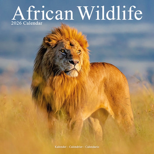 Book cover of: African Wildlife Calendar 2026  Square Wildlife Safari Wall Calendar - 16 Month