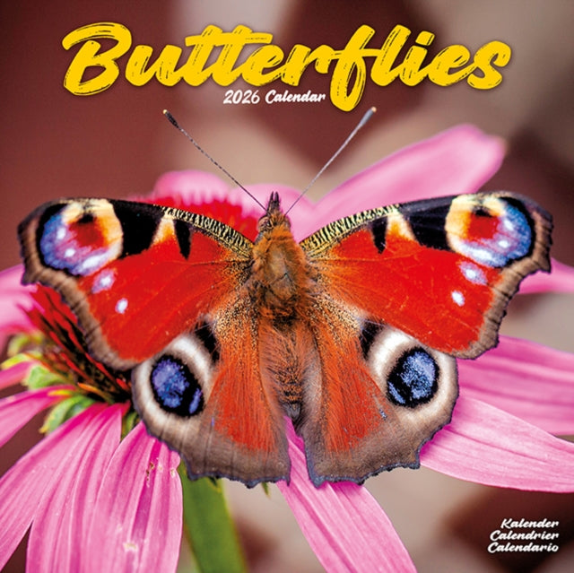 Book cover of: Butterflies Calendar 2026  Square Butterfly Wall Calendar - 16 Month