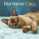 Book cover of: Cats - Burmese Calendar 2026  Square Cat Wall Calendar - 16 Month