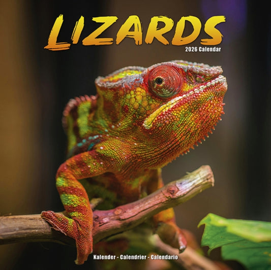 Book cover of: Lizards Calendar 2026  Square Animal Wall Calendar - 16 Month