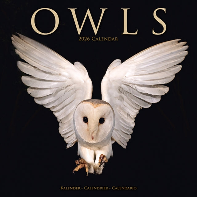 Book cover of: Owls Calendar 2026  Square Birds Wall Calendar - 16 Month