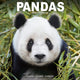 Book cover of: Panadas Calendar 2026  Square Animal Wall Calendar - 16 Month