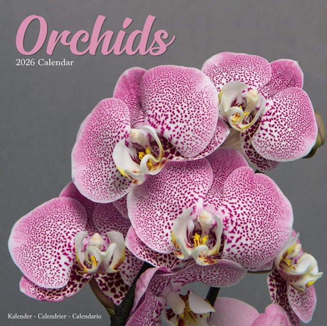 Book cover of: Orchids Calendar 2026  Square Flowers Wall Calendar - 16 Month