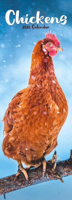 Book cover of: Chickens Slim Calendar 2026  Bird Slimline Calendar - 12 Month