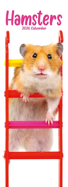 Book cover of: Hamsters Slim Calendar 2026  Cute Slimline Calendar - 12 Month