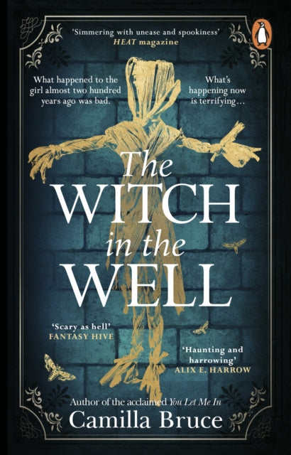 Witch in the Well, A deliciously disturbing Gothic tale of a revenge reaching out across the years 9781804993163 Camilla Bruce