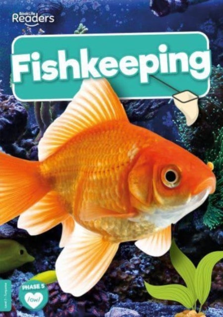 Book cover of: Fishkeeping. By: Charis Mather
