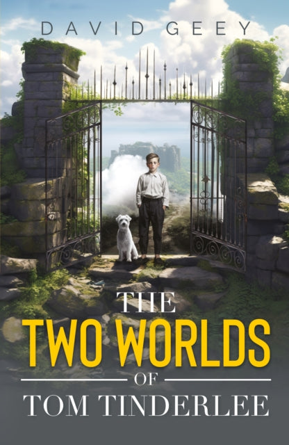Book cover of: Two Worlds of Tom Tinderlee. By: David Geey