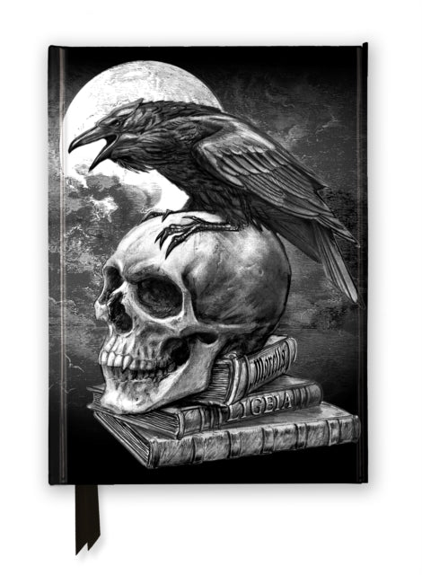Alchemy: Poe’s Raven (Foiled Journal) 9781835625422 Flame Tree Studio
