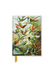 Book cover of: Ernst Haeckel: Hummingbirds (Foiled Pocket Journal)