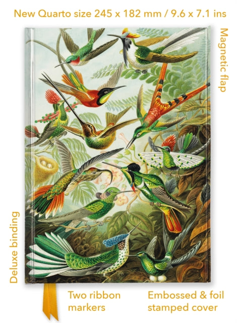 Book cover of: Ernst Haeckel: Hummingbirds (Foiled Quarto Journal)