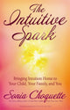 Book cover of: Intuitive Spark. By: Sonia Choquette