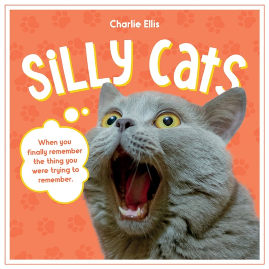 Book cover of: Silly Cats