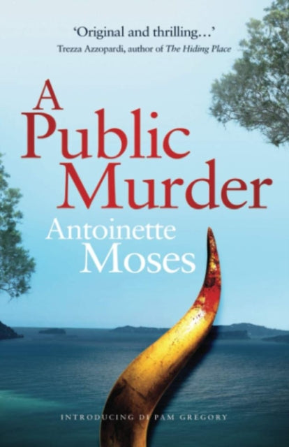 Book cover of: Public Murder