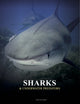 Book cover of: Sharks and Underwater Predators. By: Amber Books