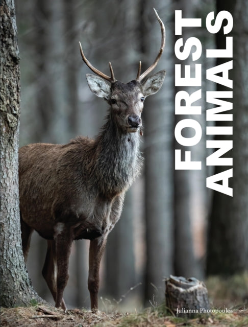 Book cover of: Forest Animals. By: Julianna Photopoulos