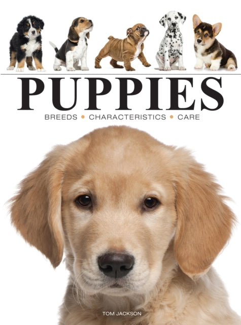 Book cover of: Puppies. By: Amber Books