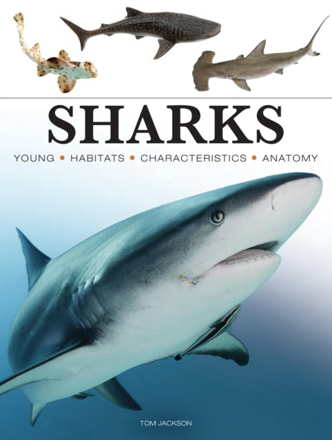 Book cover of: Sharks & Underwater Predators. By: Tom Jackson