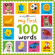 My First 100: Words 9781838993023 Priddy Books