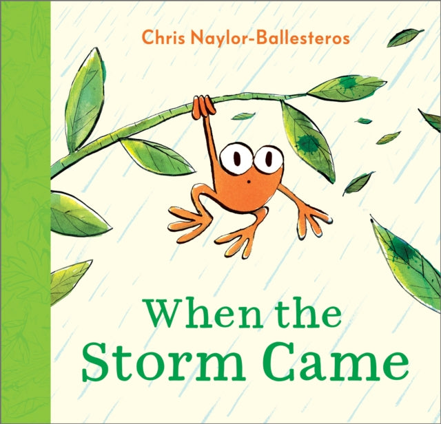Book cover of: When the Storm Came