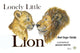 Book cover of: Lonely Little Lion