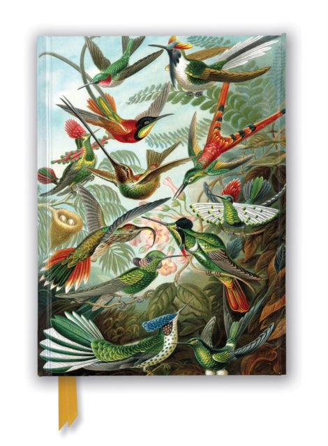 Book cover of: Ernst Haeckel: Hummingbirds (Foiled Journal). By: Flame Tree Studio