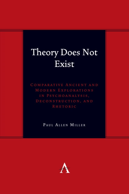 Book cover of: Theory Does Not Exist. By: Paul Allen Miller