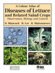 Book cover of: Colour Atlas of Diseases of Lettuce and Related Salad Crops. By: D. Blancard