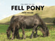 Book cover of: Spirit of the Fell Pony. By: Fleur Hallam