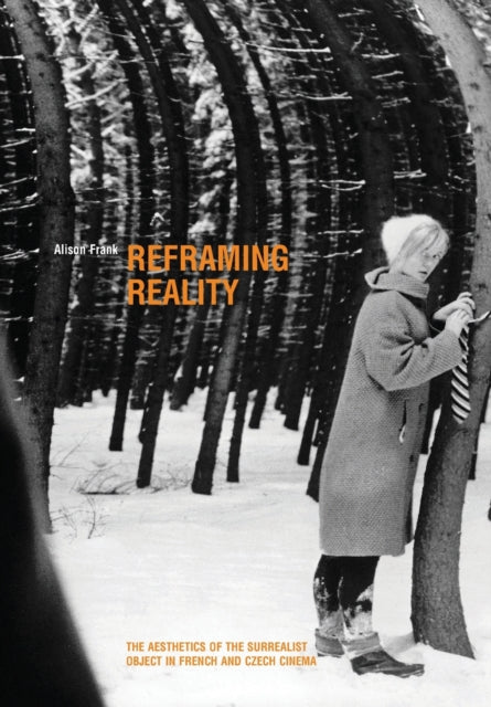 Book cover of: Reframing Reality