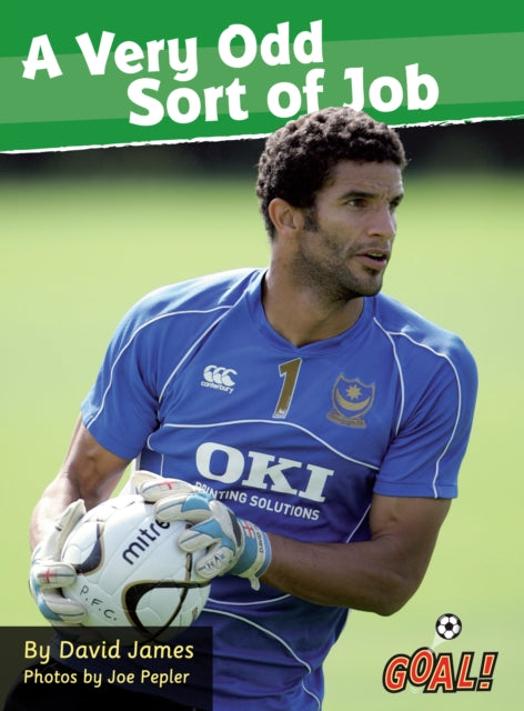 Book cover of: Very Odd Sort of Job. By: David James