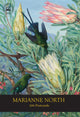 Book cover of: Marianne North 100 Postcards. By: Royal Botanic Gardens Staff