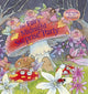 Book cover of: Fairy Midnight Surprise Party