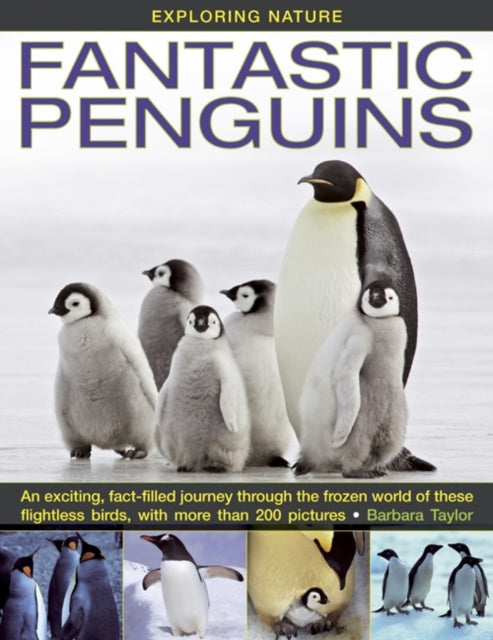 Book cover of: Exploring Nature