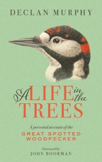 Book cover of: Life In The Trees. By: Declan Murphy