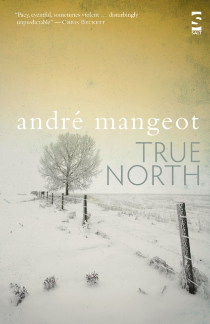 Book cover of: True North. By: Andre Mangeot