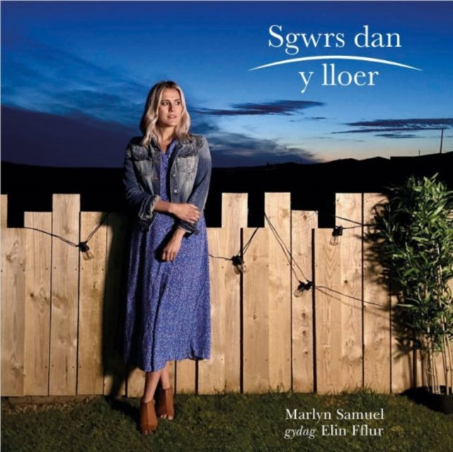 Book cover of: Sgwrs dan y Lloer