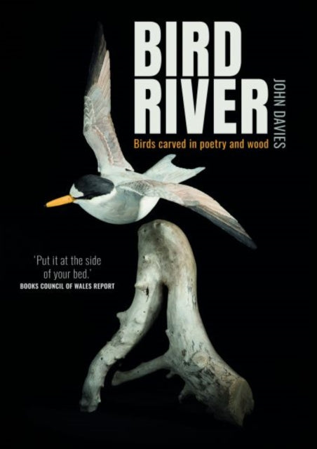 Book cover of: Bird River. By: John Davies