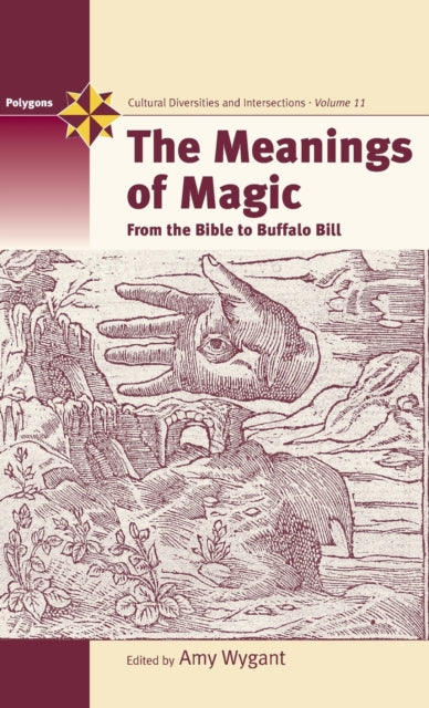 Book cover of: Meanings of Magic. By: Amy Wygant