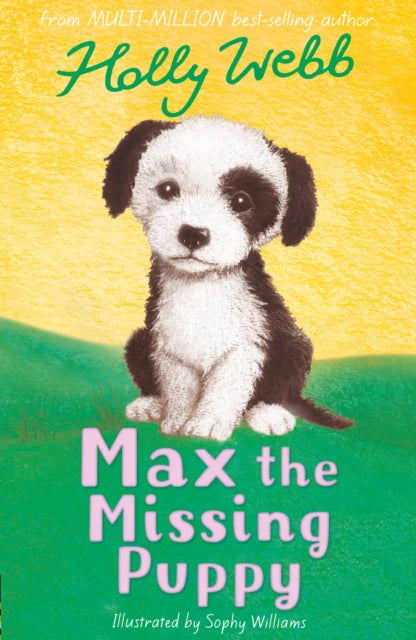 Book cover of: Max the Missing Puppy