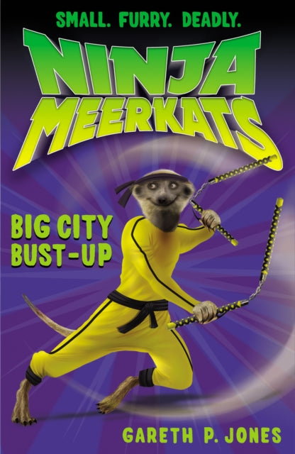 Book cover of: Big City Bust-up